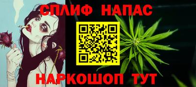 твердый Будённовск